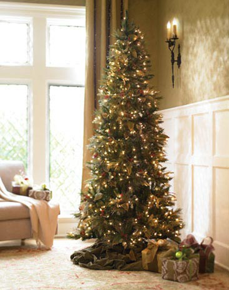 450_GR_DEC-035
