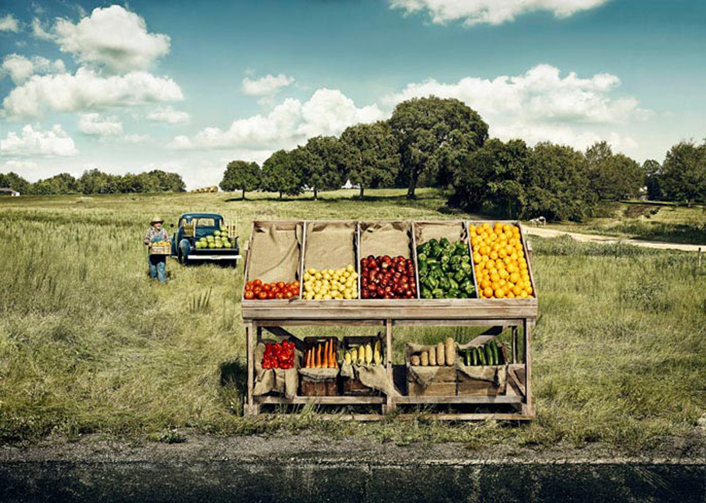 ALLOVER_StandardMore_FruitStand_V1_rgb